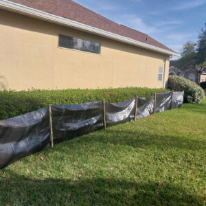 armadillo-removal-st-johns-fl-2 armadillo trapping st johns fl