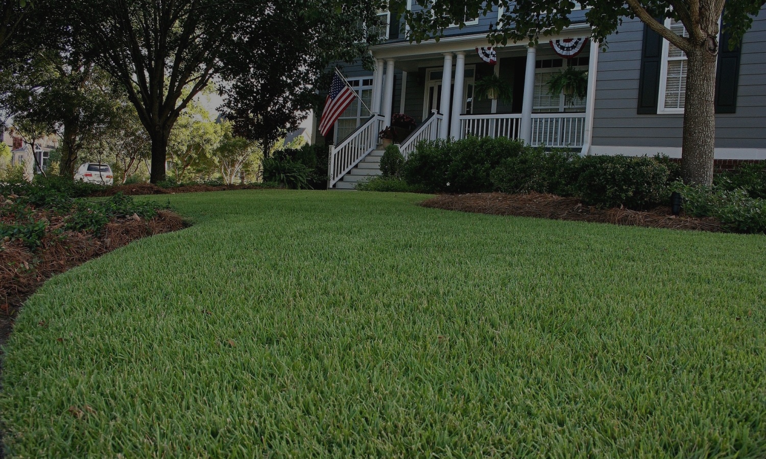 Pest Control Service St Johns County FL