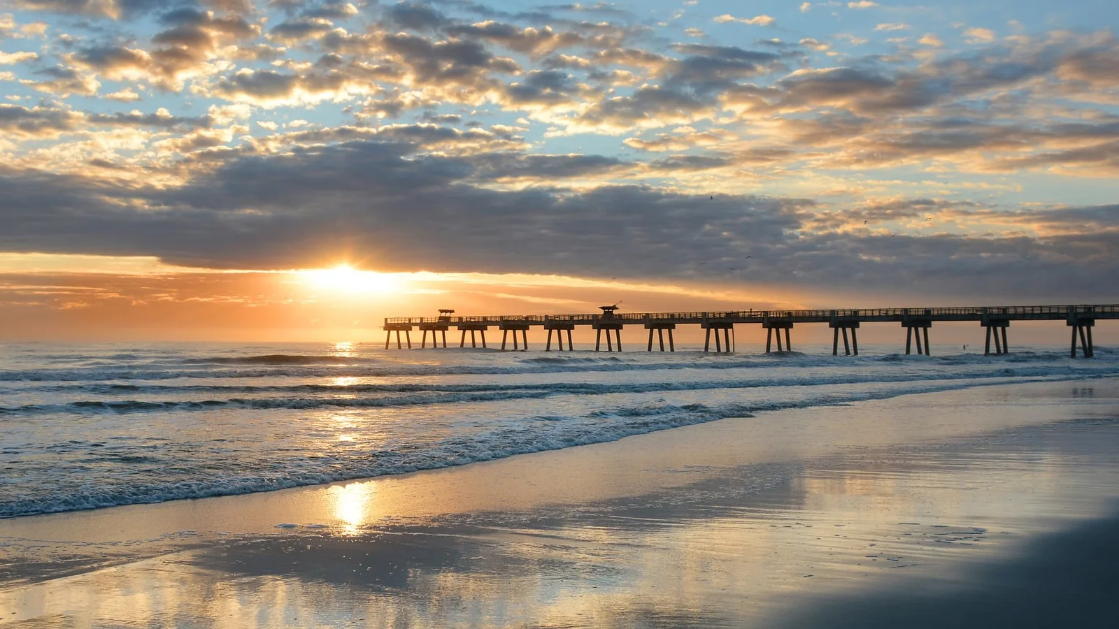 Termite control in Ponte Vedra Beach FL for homes and businesses